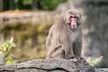 Admission for One Child or Adult to Central Park Zoo (Up to 10% Off) - Second Medium
