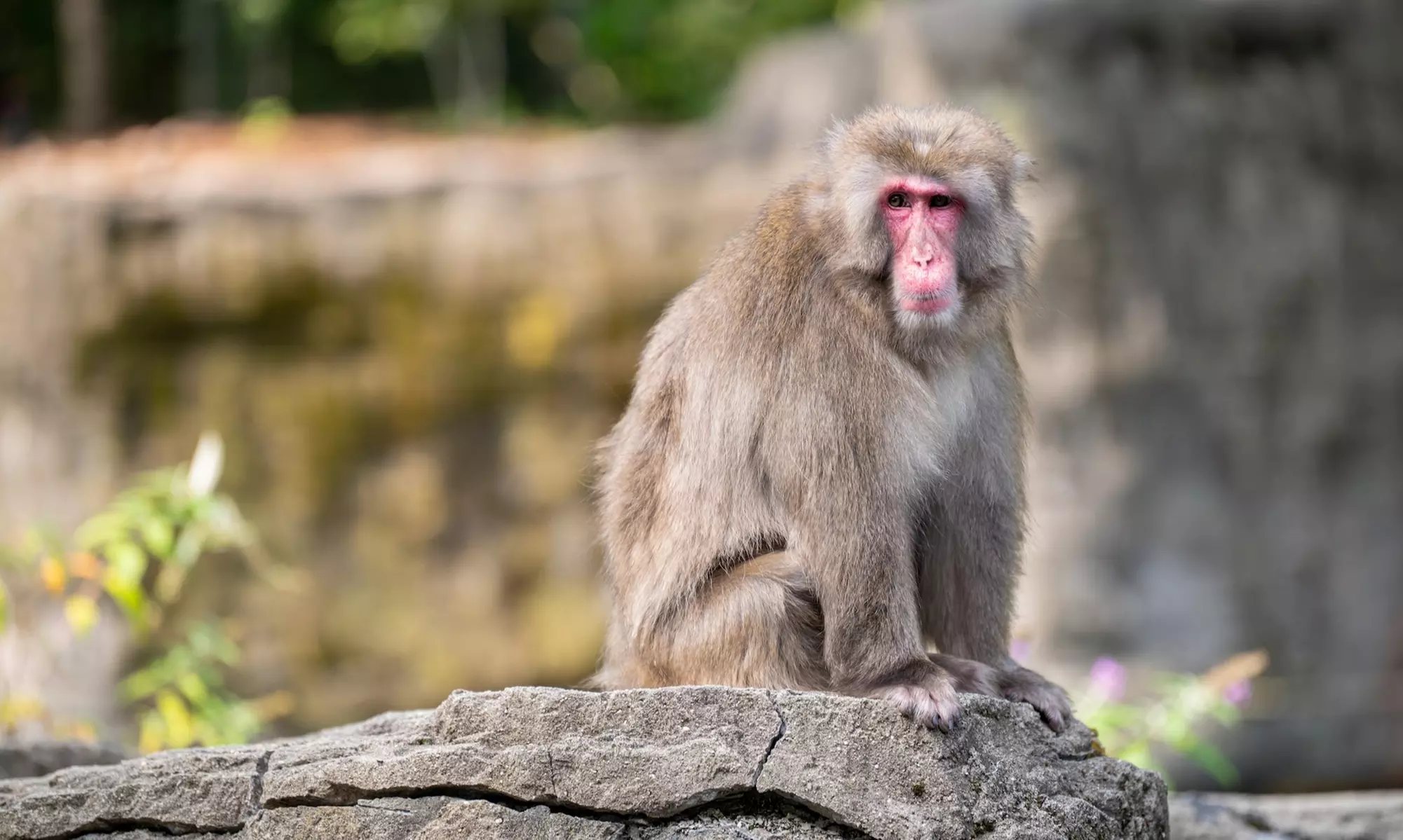Admission for One Child or Adult to Central Park Zoo