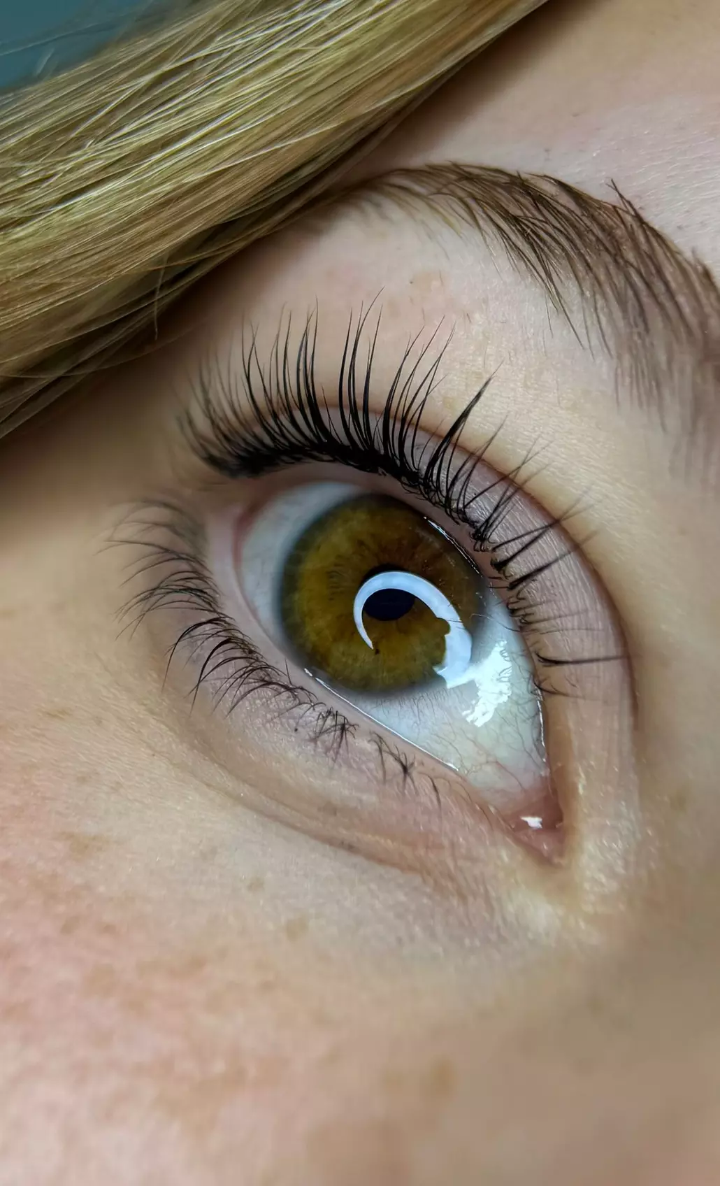 Lash- und / oder Browlifting inkl. Farbe für 1 Person