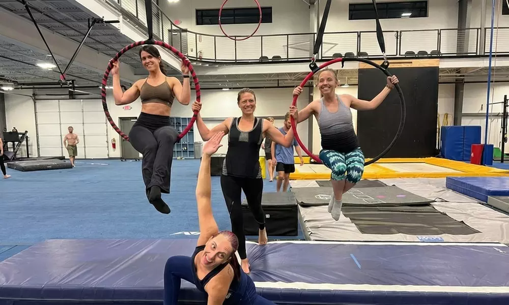 Introductory & Beginner Pole Dance Classes