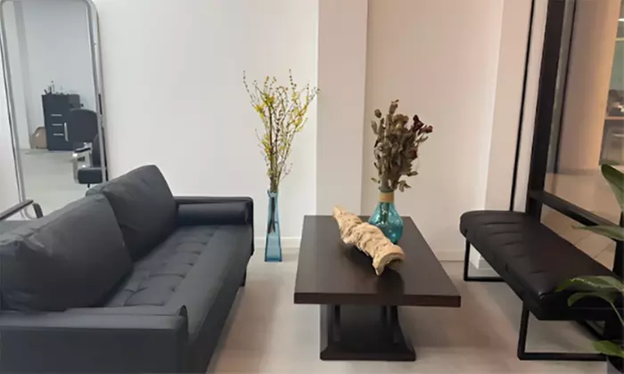 One Woman's Haircut, Hydration Treatment, Blow-Dry, Highlights & More