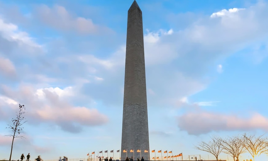 Image 7: 2 Hour Small Group Minibus Tour of Iconic D.C. Landmarks