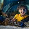 Image 9: ICON Park Attraction Deals - Madame Tussauds, SEA LIFE, Orlando Eye 