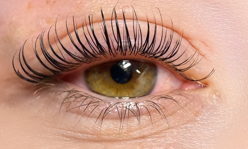 Image 2: Perfect Brow and Lash Services in a Modern Studio