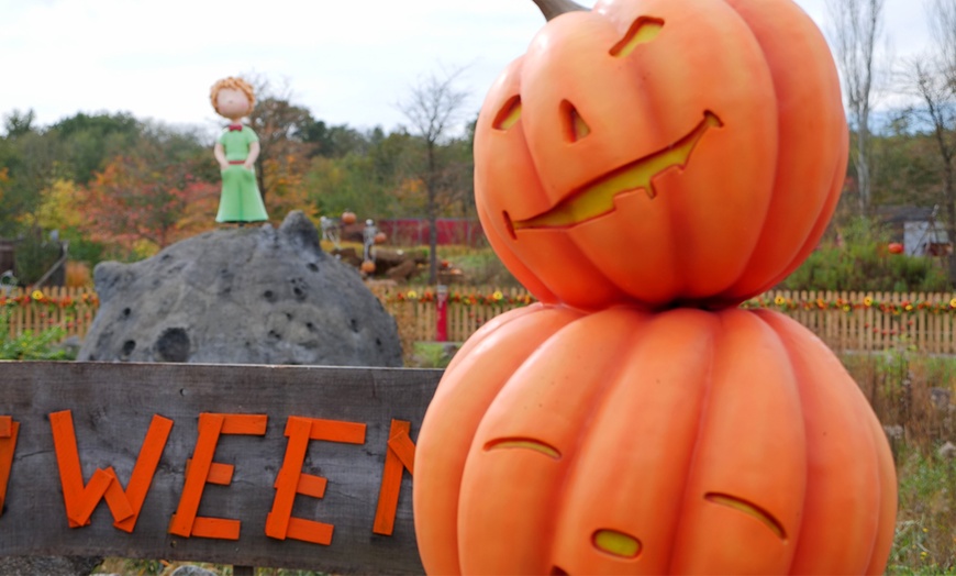 Image 20: Venez vivre la fantaisie de Saint-Exupéry au Parc du Petit Prince