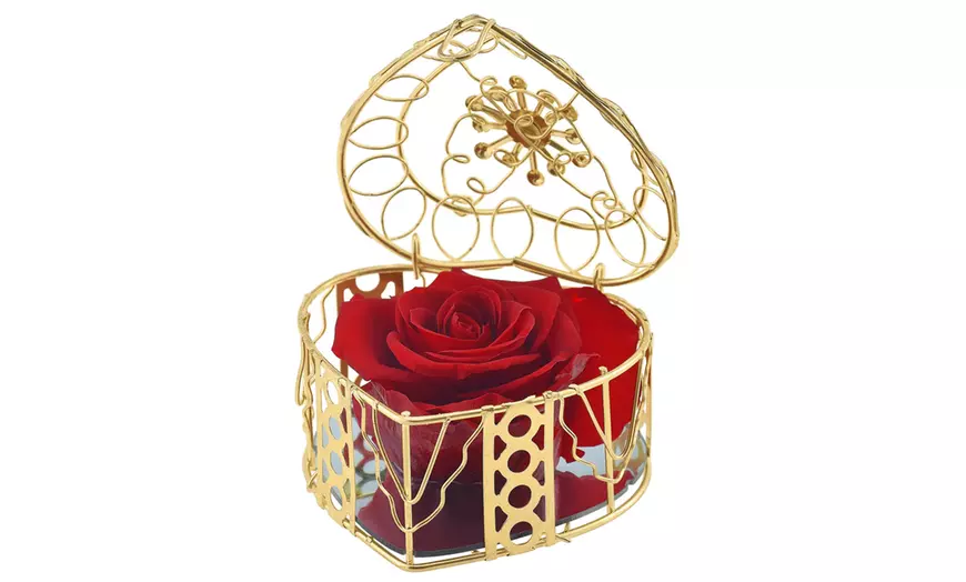 Image 8: Rosa eterna