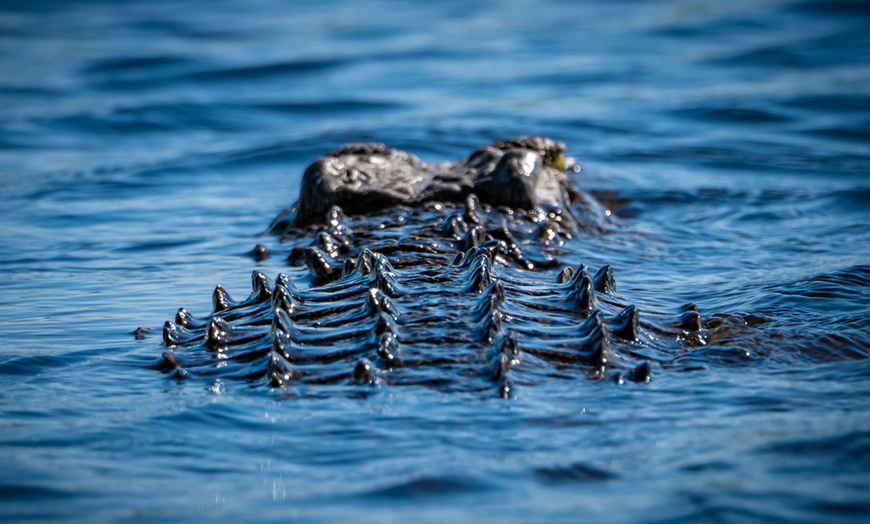 Image 44: Zimbabwe: 7-Night Yoga & Safari Retreat