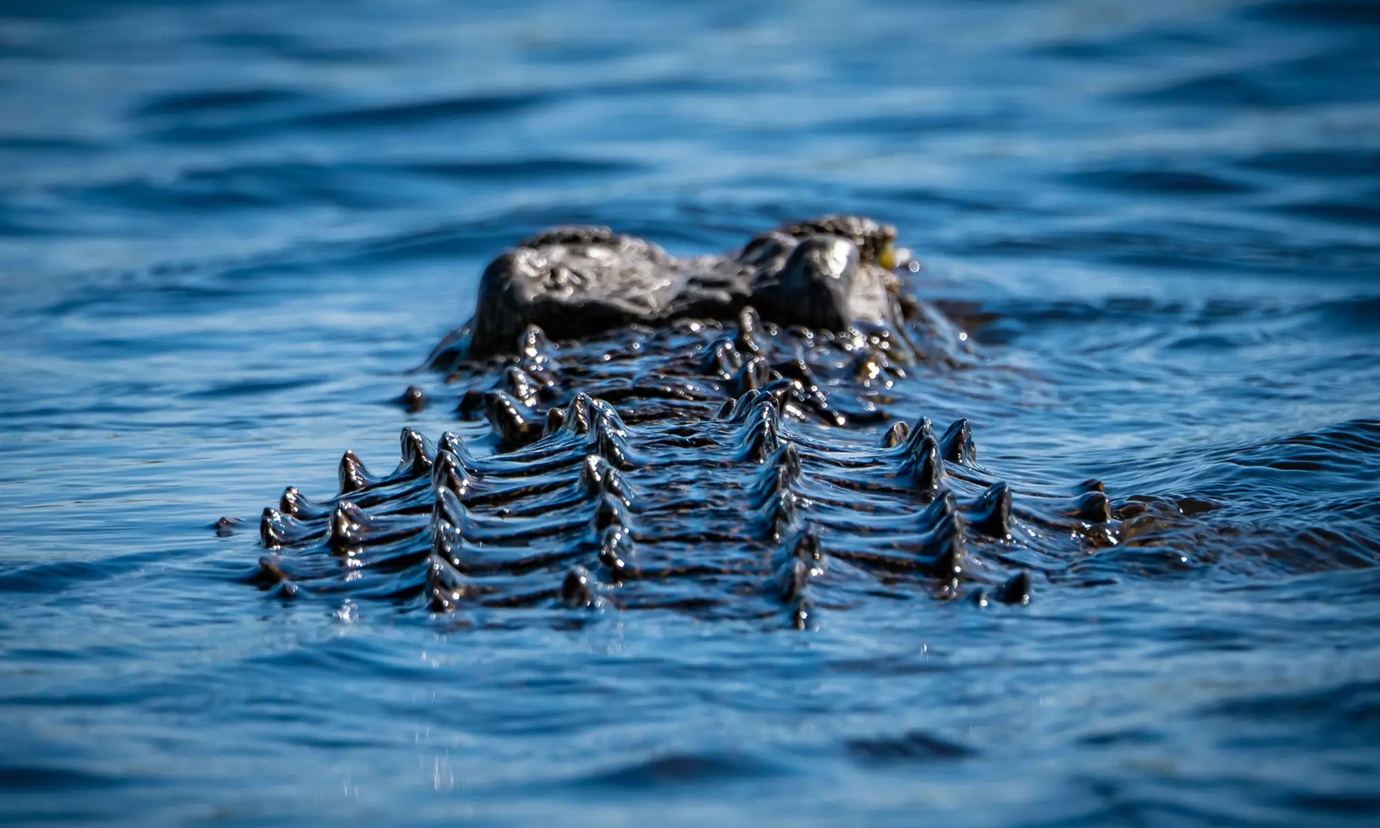 Zimbabwe: 7-Night Yoga & Safari Retreat