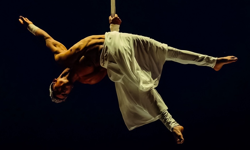 Image 6: Circo Holiday: entrada en tribuna del 1 al 11 de enero en Alcobendas