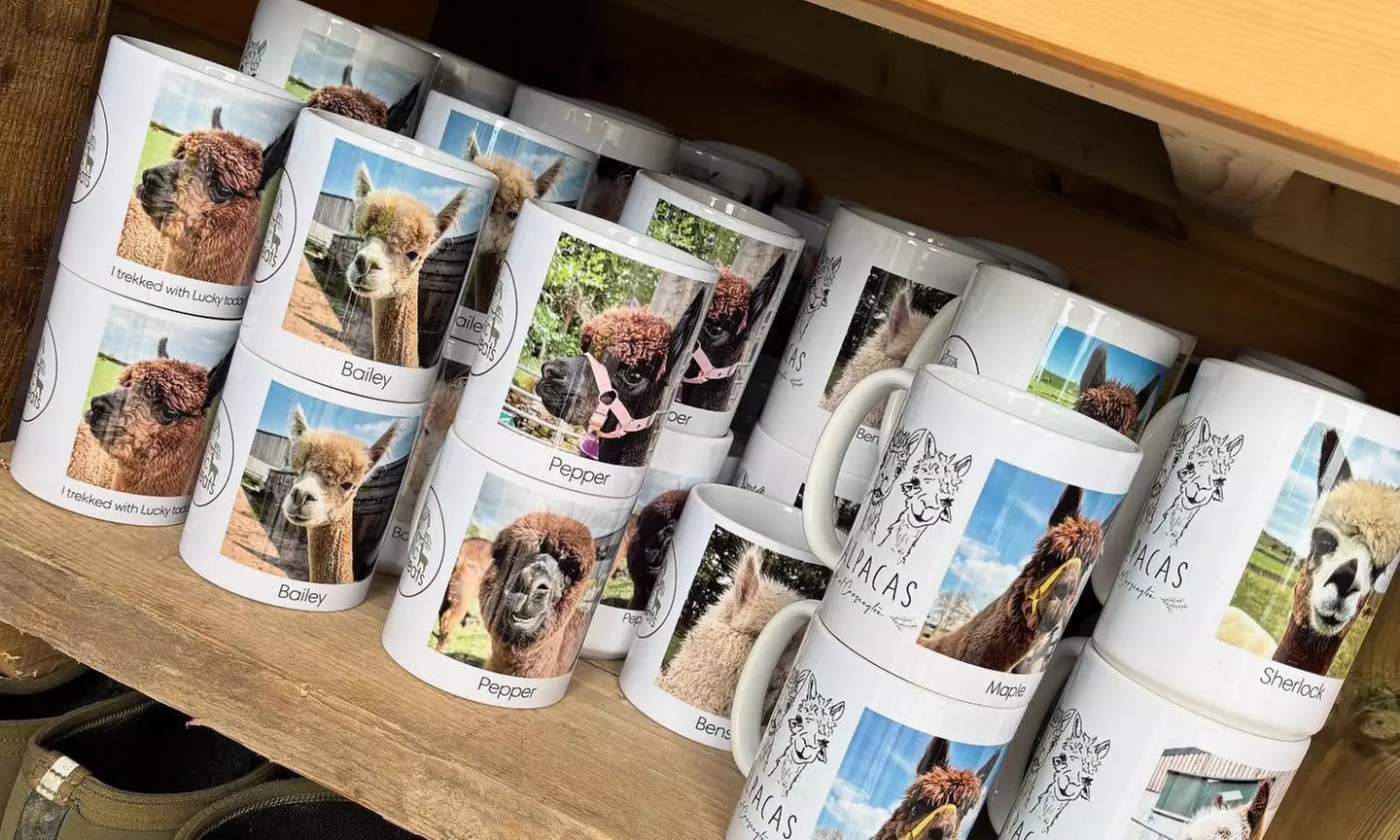 Up to 57% Off on Zoo / Animal Park at Rustic Retreats