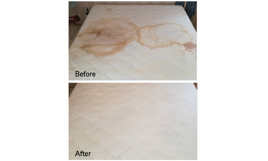 Image 5: Expert Rug Cleaning with Convenient Services 