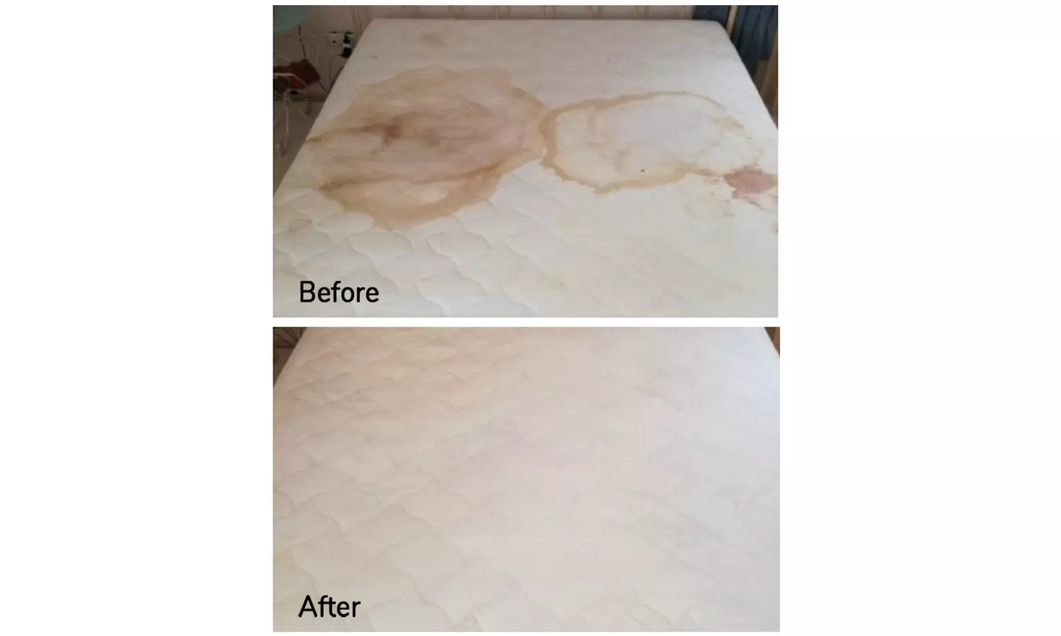 Expert Rug Cleaning with Convenient Services 