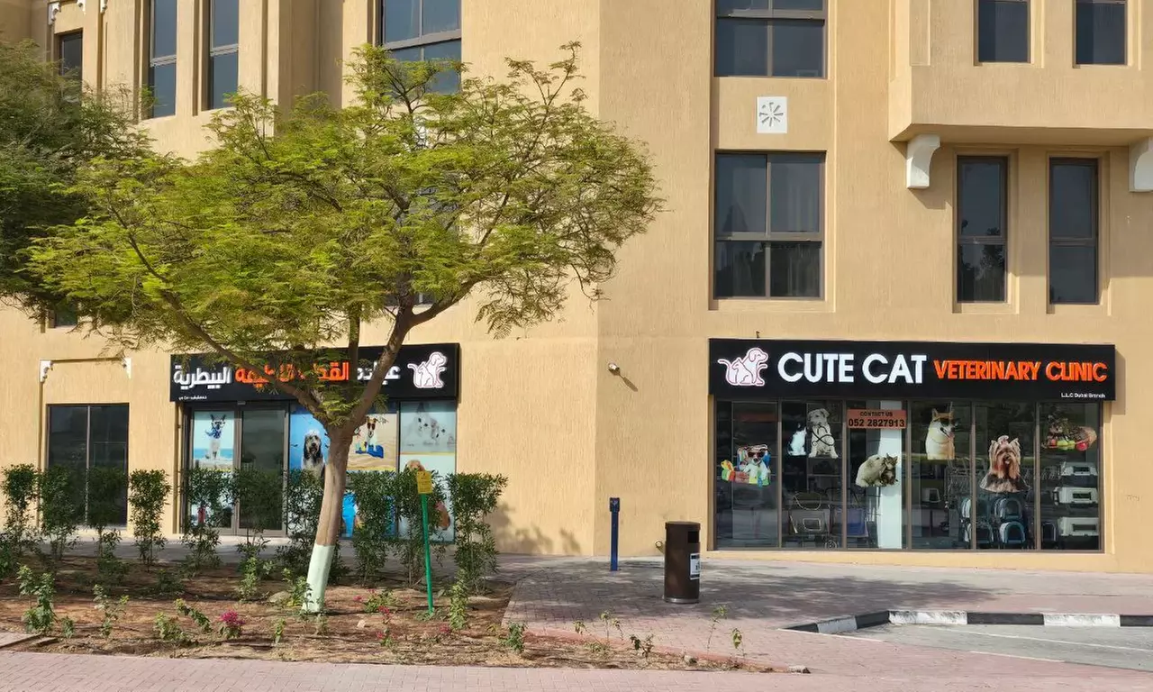 Fresh & Fluffy Pet Grooming – Full Grooming With Haircut (Cats & Dogs)