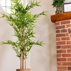 Image 2: Artificial Plants and Trees - Bamboo, Ficus, Olive and Palm