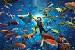 Explore the Lost World Aquarium at Atlantis – Entry Tickets for Kids, Adults & Families (Up To 56% Off) - Image 4