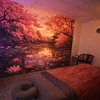Image 2: Detox & Glow with Lymphatic Massage and Red Light Therapy