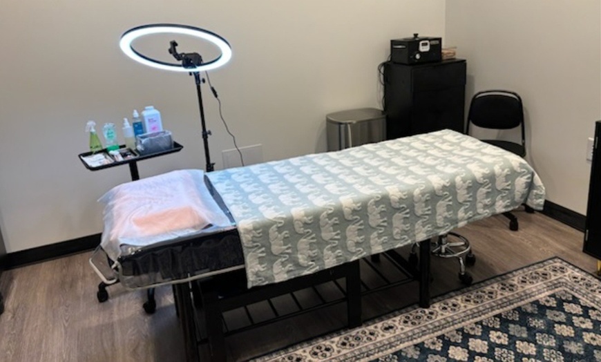 Image 2: Enhance with Permanent Powder Eyebrow or  Lip Tattoo Session