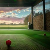 Image 2: Exclusive Virtual Golf & Lounge Access - Westminster