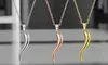 Italian Sterling Silver Cornicello Horn Necklace