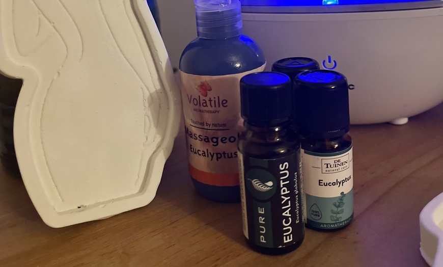 Image 3: Ontspan met Balinese & hotstone massage in Winterswijk