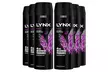 Lynx XL 48H High-Definition Deodorant Body Spray Collection – Excite and Gold Variants - Image 4