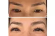 Lash Lift or Tint, Volume, Mega, or Classic Extensions with Optional Fill at Blink Wink Lash (Up to 47% Off) - Second Medium