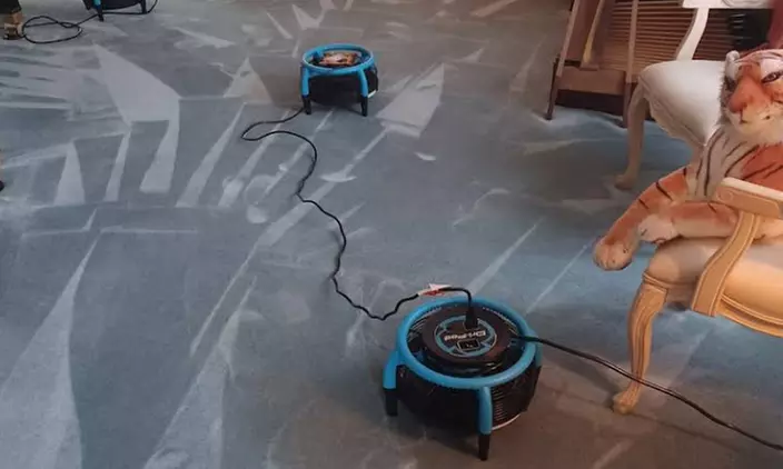 Carpet Cleaning for 2, 4, or 6 Rooms