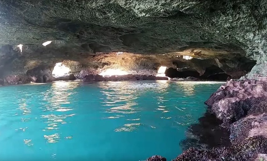 Image 3: Explore Hawaii with Lemurian Tours for Kids and Adults