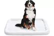 Amazon Basics Faux Sherpa Padded Bolster Dog & Pet Bed - 2 Sizes - Second Medium