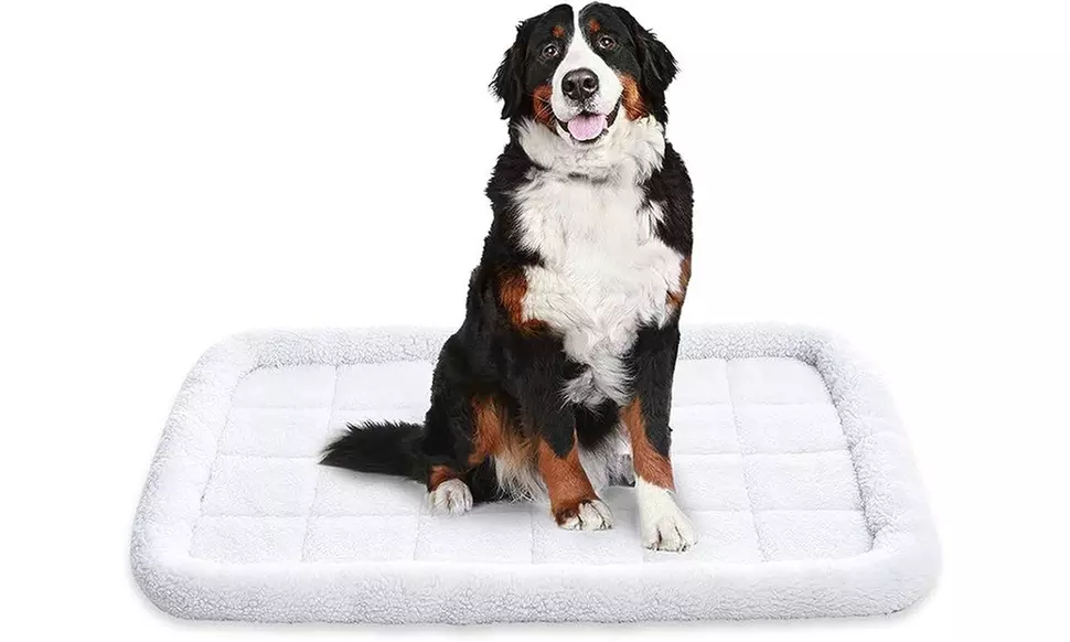 Amazon Basics Faux Sherpa Padded Bolster Dog & Pet Bed - 2 Sizes
