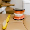 Image 7: Complete Dental Exam with Cleaning with Choice of Varnish and X-Rays