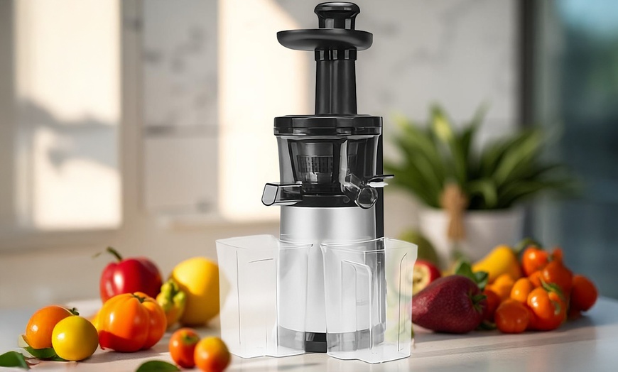 Image 1: Slowjuicer met 150W motor