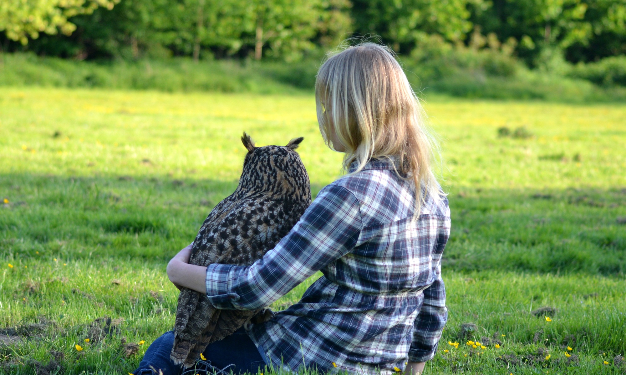 VIP-Eulenzeit mit Begleitung