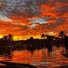 Image 3: Private Intracoastal or Sunset Boat Tour for Up to 6 Guests
