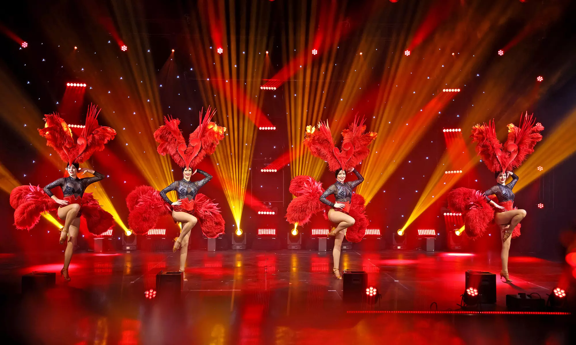 Ticket für die „Heidelberger Weihnachtsshow – Magic Circus“