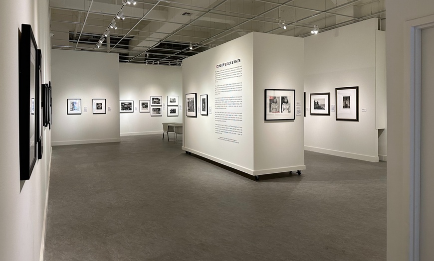 Image 4: Florida Museum of Photographic Arts Exhibitions