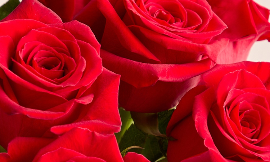 Image 12: Next Day Delivery Valentine's Rose Bouquets from 1-800-Flowers.com 