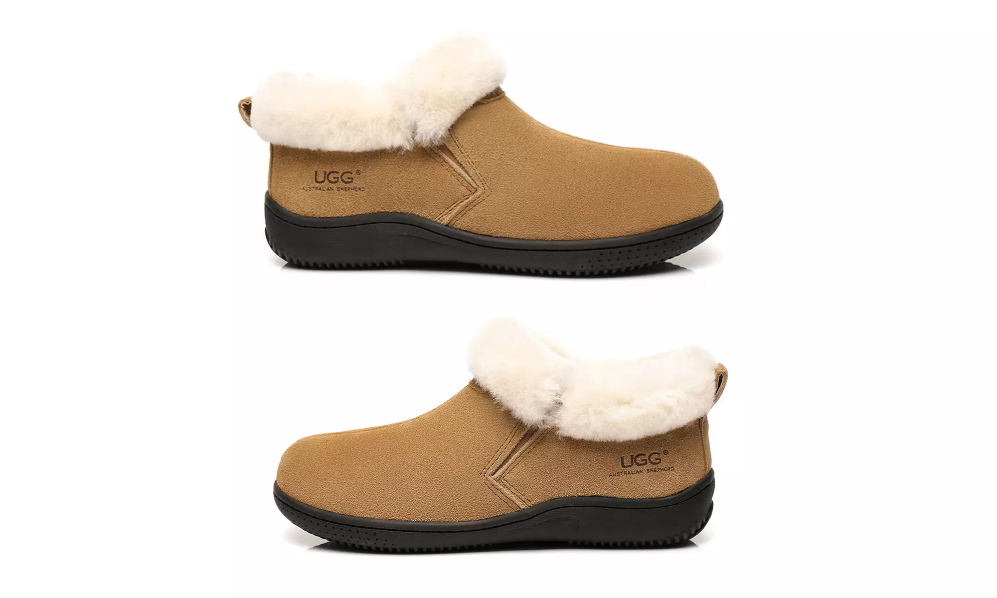 Daley UGG Slippers FREE SHIPPING