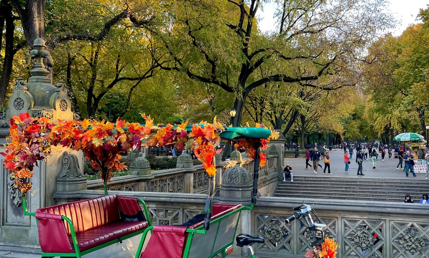 Image 7: Central Park Pedicab Tour: Classic, Deluxe or Elite PediCab Tour