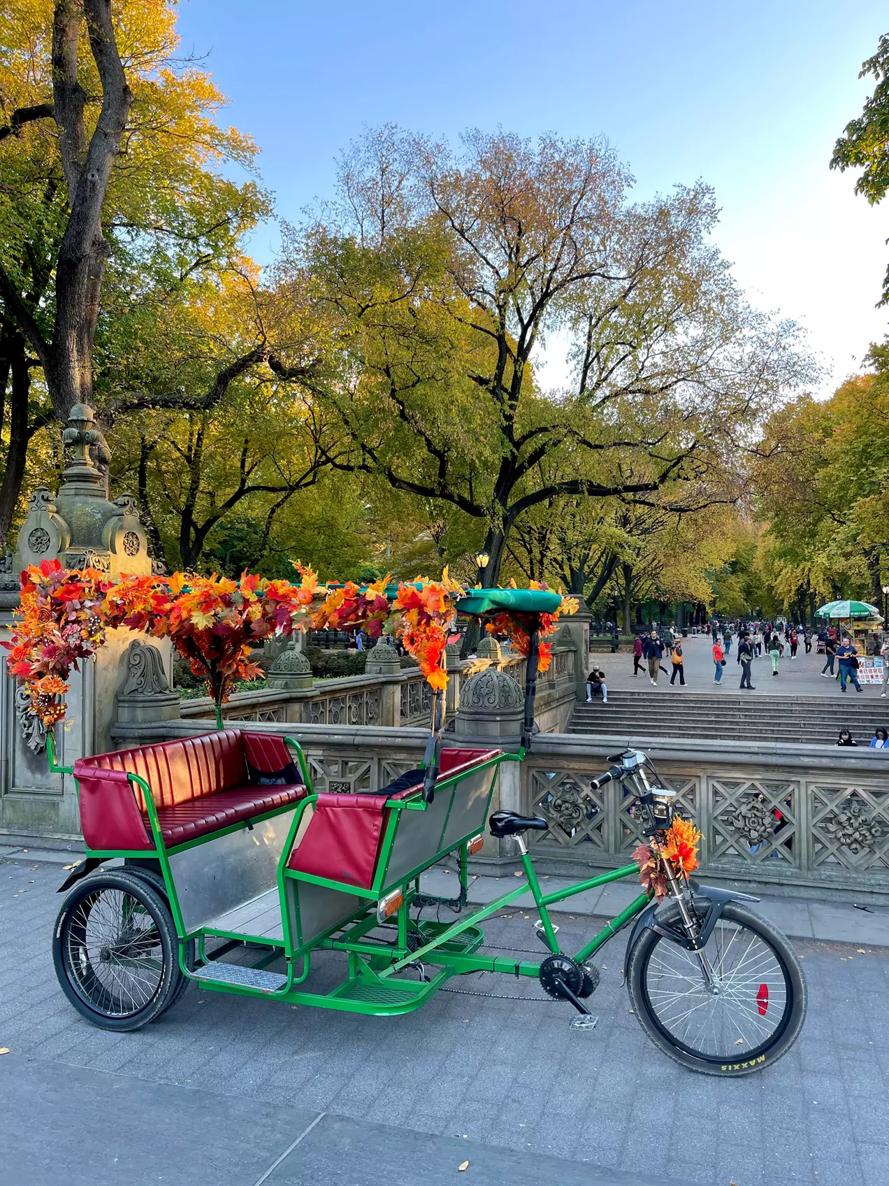 Central Park Pedicab Tour: Classic, Deluxe or Elite PediCab Tour