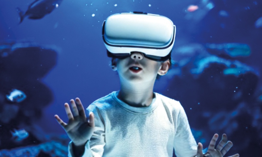 Image 10: Une journée magique au delphinarium de Boudewijn Seapark