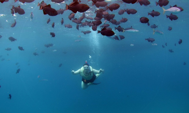 What to expect media