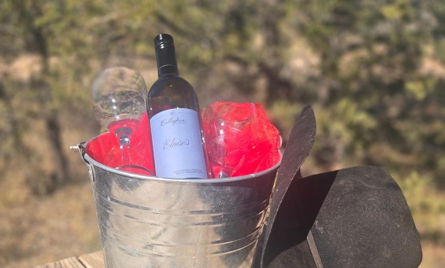 Image 4: Horse Riding & Wine Tasting Adventure at Double R Ranch