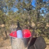 Image 4: Horse Riding & Wine Tasting Adventure at Double R Ranch