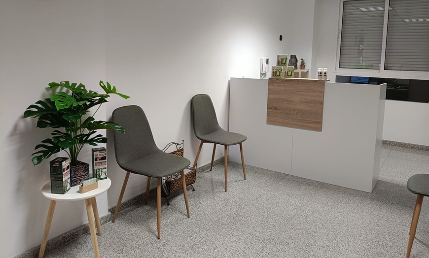 Image 2: 1, 2 o 3 sesiones de reflexología podal con masaje de piernas y spa  