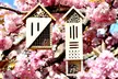 Hand Crafted Multicompartment Wooden Pollinating Houses for Bees & Butterflies - Second Medium