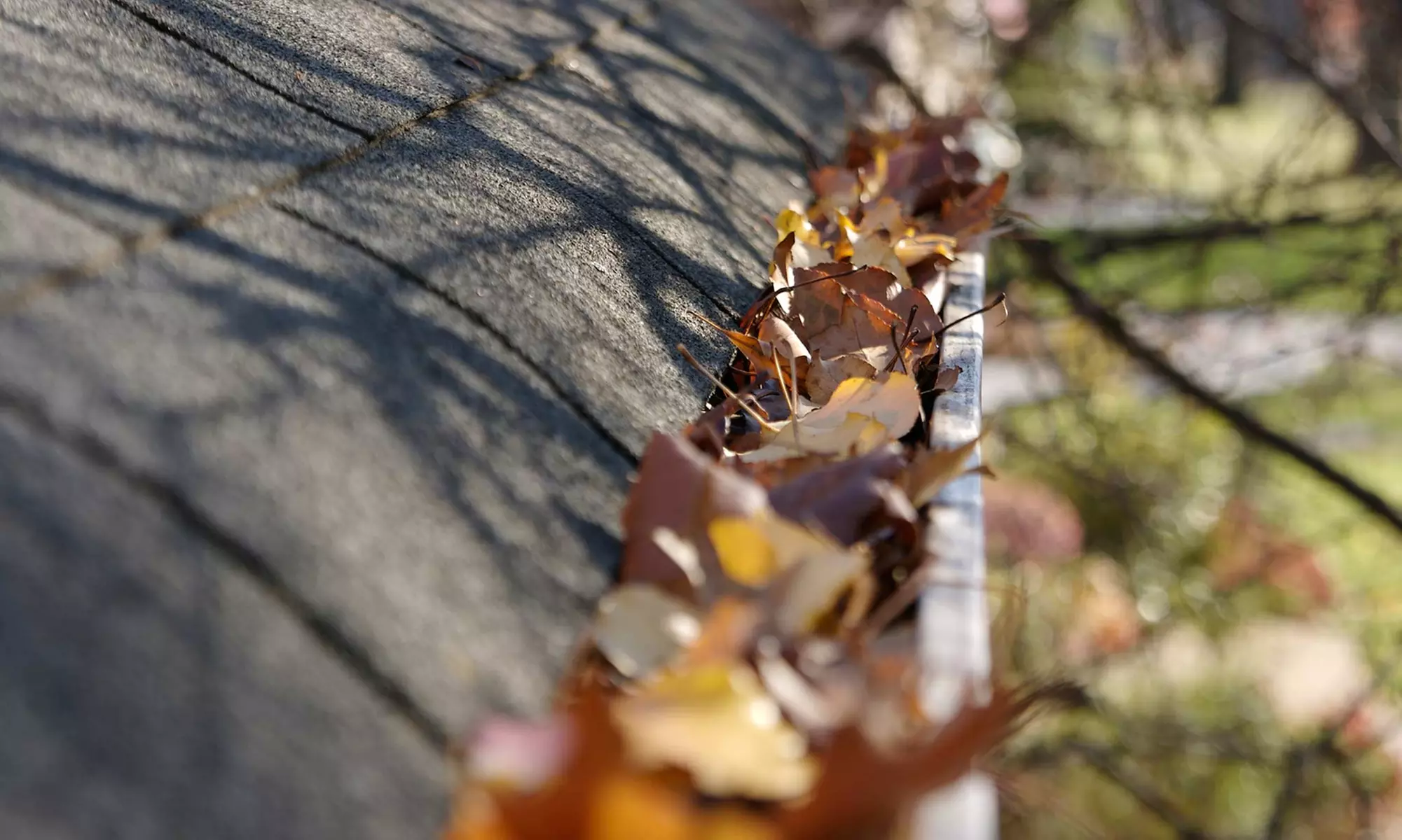 Gutter Cleaning for Houses Up to 2,500, 3,500, or 5,000 Sq. Ft. from Gutter Pro (Up to 56% Off) - Primary Image