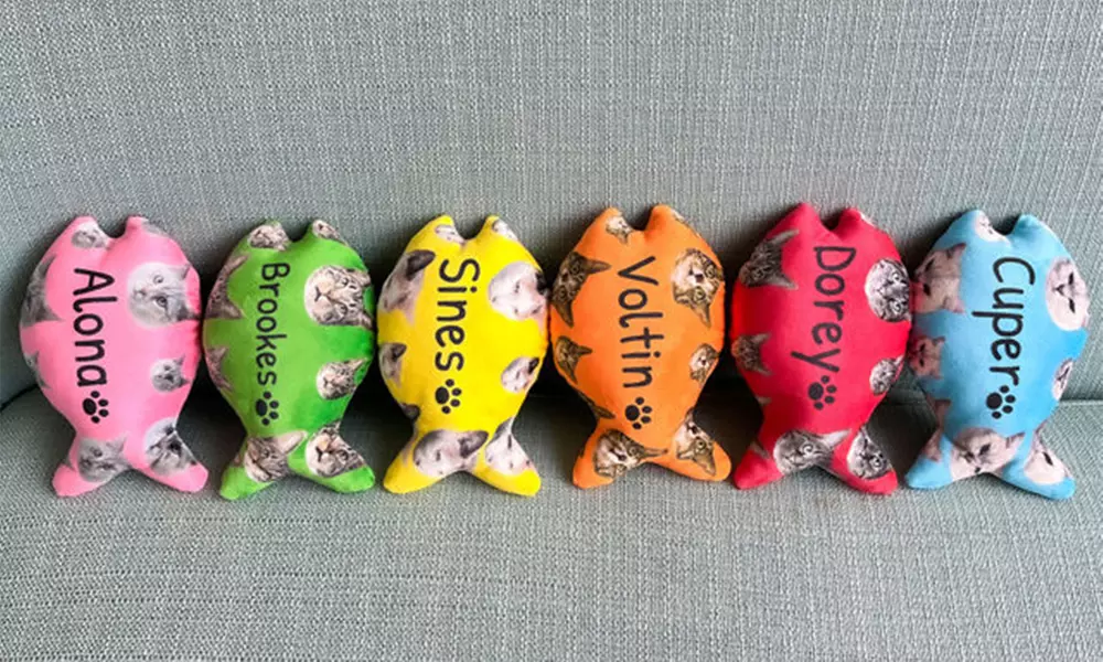One or Two Custom Pet Toys - Custom Frisbees or Bones Available!