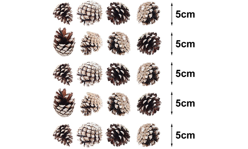 Image 6: Living And Home 30-Pack Real Pine Cones