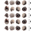 Image 6: Living And Home 30-Pack Real Pine Cones